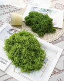 50g Dark Green Artificial Stringy Moss