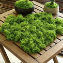50g Light Green Artificial Stringy Moss