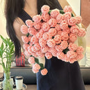 52 Pink Flowers Beige Blanket Diameter Approximately 110CM