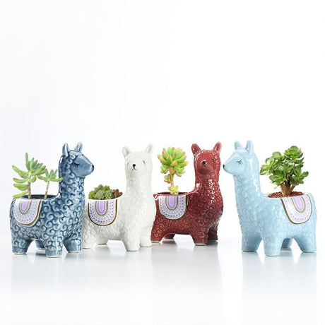 Alpaca Orchid Ceramic Planter