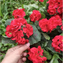 Artificial Flowers Red