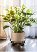 Black Round Movable Plant Caddy with Wheels