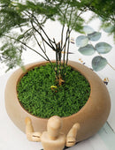 Bulk Artificial Dark Green Stringy Moss 500g
