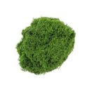 Bulk Artificial Light Green Stringy Moss 500g