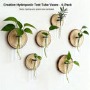 Creative Test Tube Hydroponic Vase-Set of 6