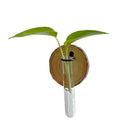 Creative Test Tube Hydroponic Vase-Set of 6