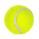Fluorescent Yellow Dog Tennis Balls 6-Pack - 2 Inch
