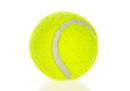 Fluorescent Yellow Dog Tennis Balls 6-Pack - 2 Inch