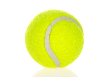 Fluorescent Yellow Dog Tennis Balls 6-Pack - 2 Inch