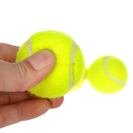 Fluorescent Yellow Dog Tennis Balls 6-Pack - 2 Inch