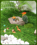 Pastoral Artificial Moss Turf 100cm×100cm