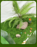 Pastoral Artificial Moss Turf 100cm×100cm