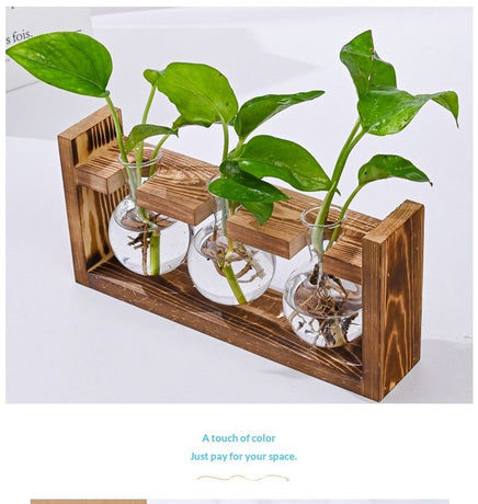 HydroponicSnap-OnWoodenStand-Heart-ShapedDoubleBottle
