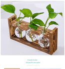 HydroponicWoodenFramewithSnap-On-Heart-ShapedSingleBottle