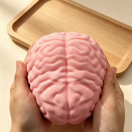 Brain Squishy Stress Relief Toy