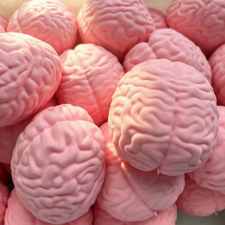 Brain Squishy Stress Relief Toy