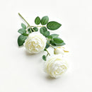 Artificial White French Peony, Soft Decor, 2 Pack