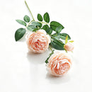 Artificial Champagne French Peony, Gentle Decor, 3 Pack