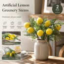 7 Head Herb Lemon Branch Style A Indoor Greenery Kit Set of 2