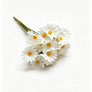 Native Countryside Vibe Artificial Chamomile Daisy, Easy Styling For Australian Household 60 pcs