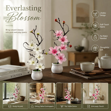 Gentle White Pink Wintersweet Jar Bonsai 2 Pack