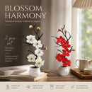 Gentle White Red Wintersweet Jar Bonsai 2 Pack