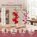 Warm Pink Red Wintersweet Jar Bonsai 2 Pack