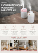 2 Pack Colour Light Humidifier 330ML Grey, Car Xmas Gift Set