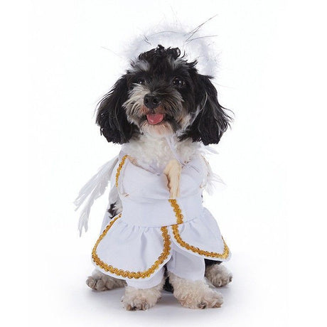 Outdoor Festival Party Decor For Cats & Dogs, Holiday Dress-up Outfit Suitable for Halloween Christmas Events, Size XL