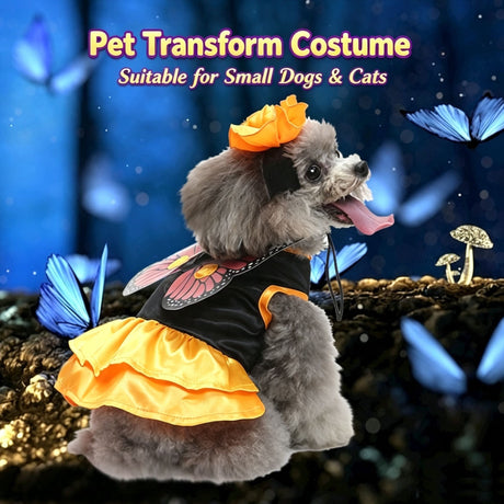 S Size Valencia Sun Pet Costume, Fancy Dress for Halloween & Christmas, Lightweight for 2-3 kg Dogs and Cats