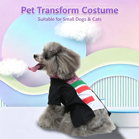 L Size Valencia Sun Pet Costume, Fancy Dress for Halloween & Christmas, Lightweight for 5-6.5 kg Dogs and Cats