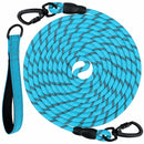 Large Dog Leash Sky Blue