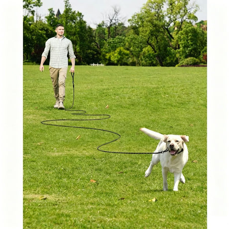 Large Dog Leash Sky Blue