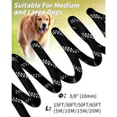 Large Dog Leash Orange 01