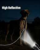 Large Dog Leash Black 02