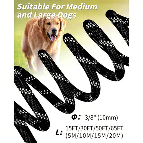 Large Dog Leash Sky Blue 02