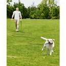 Large Dog Leash Black 03