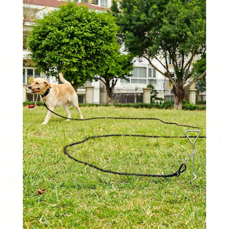 Large Dog Leash Orange 03