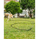 Large Dog Leash Sky Blue 03