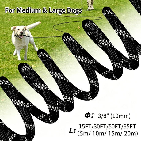 Dog Retractable Leash - Orange, 1.0×10m