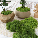 100g Dark Green Artificial Moss