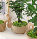 Light Green Artificial Moss 50×100cm