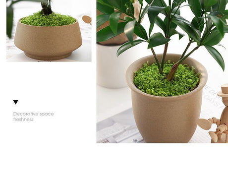 Light Green Artificial Moss 50×100cm