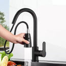 Black Kitchen Faucet