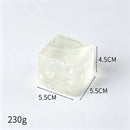 Transparent Cheese Squishy 5.5cm