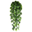 5-Fork Mini Monstera Wall Hanging Vine 3 pieces