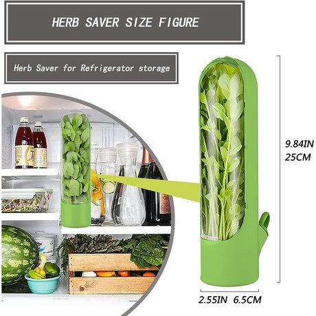 4Pcs Herb & Vegetable Fresh Storage Containers-Pink