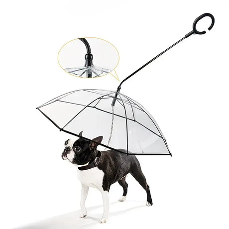 Bendable transparent pet umbrella with leash chain, rain or shine, one umbrella for outdoor pet walks