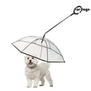 Bendable transparent pet umbrella with leash chain, rain or shine, one umbrella for outdoor pet walks