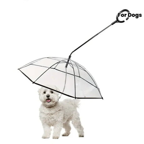 Bendable transparent pet umbrella with leash chain, rain or shine, one umbrella for outdoor pet walks